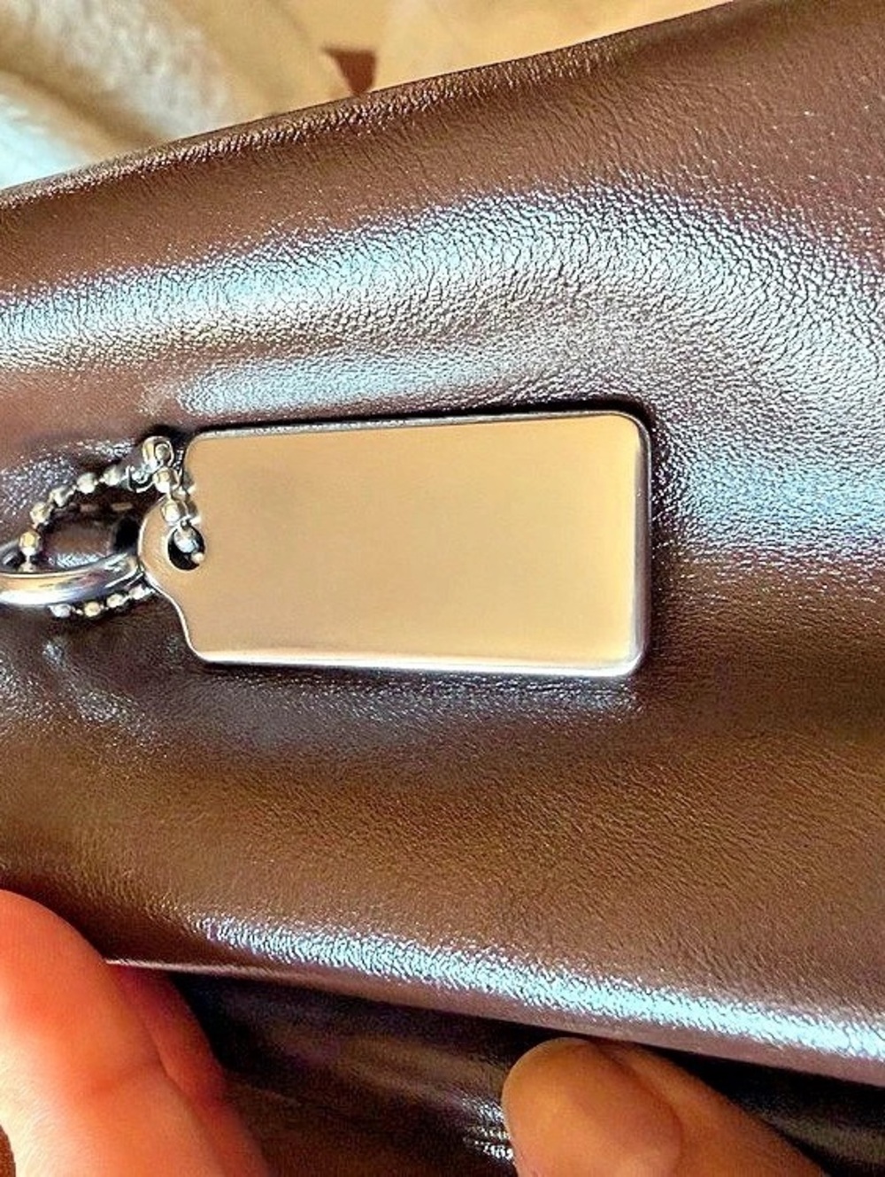 Coach Elodie Bag (Brown Crinkle Leather & Silver Hardware) - Picture 6 of 6